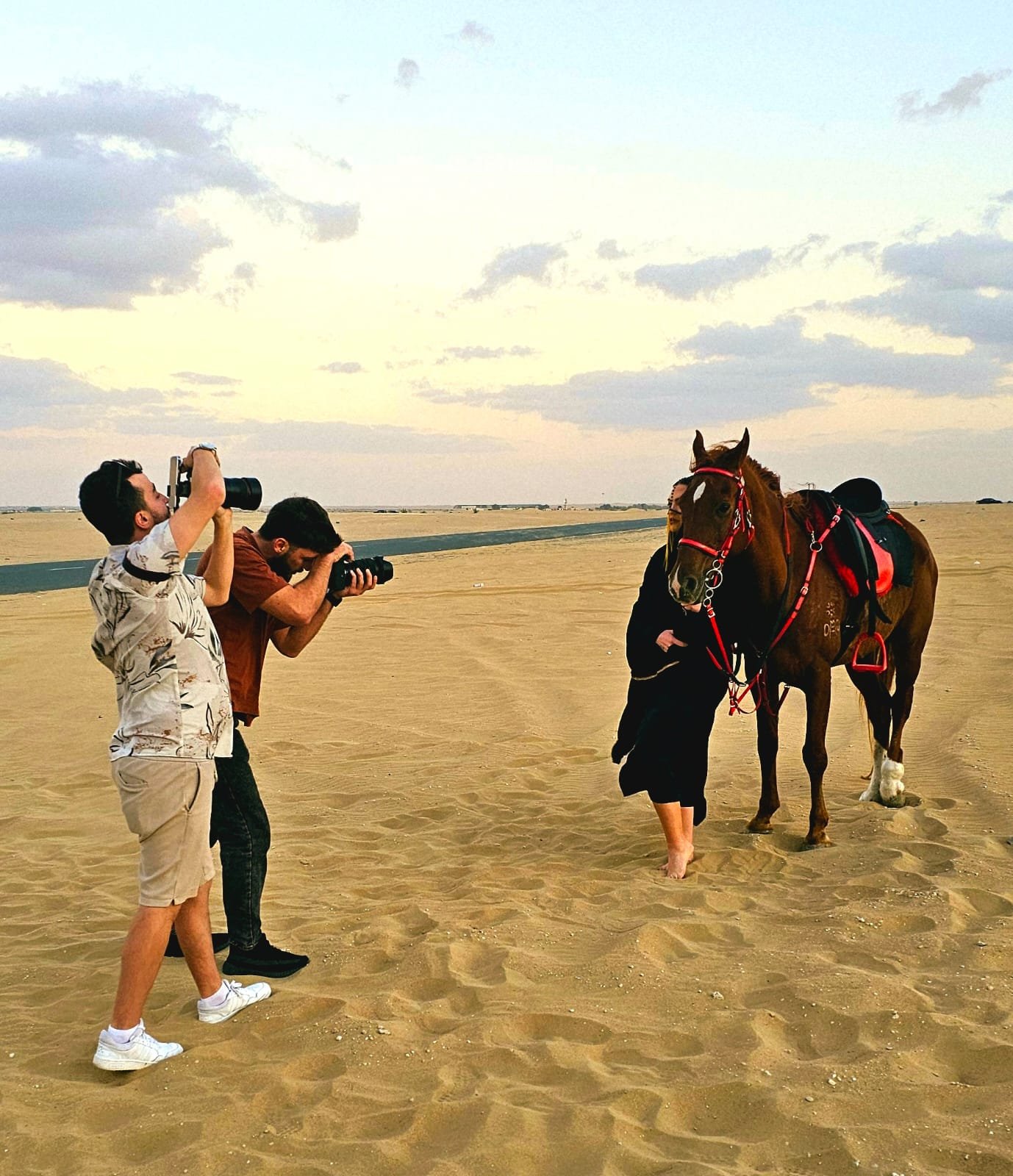 A timeless desert frame captured at golden hour